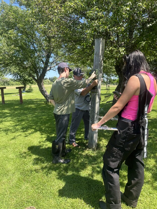 Grant, Amelia and Liam setting up a bat monitor.